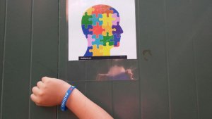 carteles hechos por los alumnos de infantil y primaria del Brithish School Tenerife